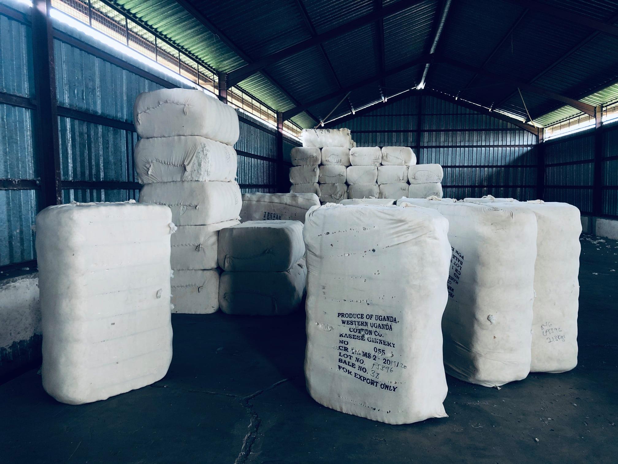 Uganda's Cotton Sector in Crisis