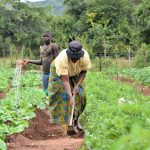 agricultural credit facility bank of uganda calls on farmers to seize the opportunity
