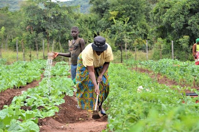 agricultural credit facility bank of uganda calls on farmers to seize the opportunity