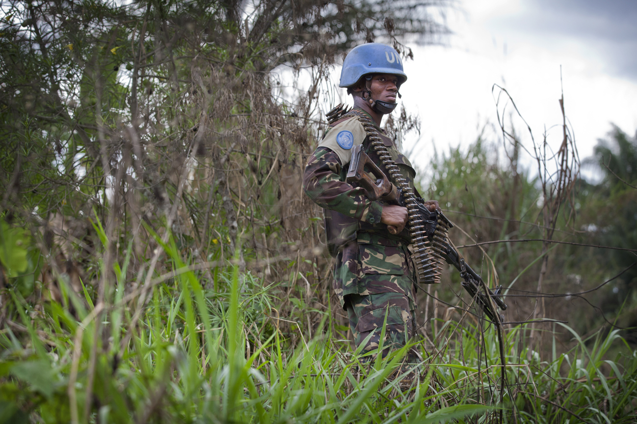 alleged adf remnants apprehended their dark history