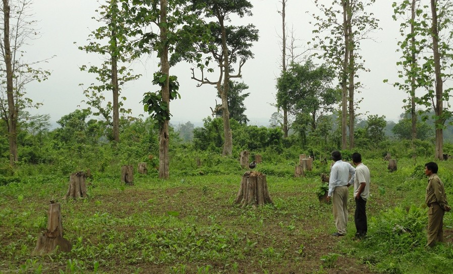 eacc investigates private developer for forest land encroachment
