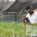 experts urge adoption of innovative farming tech for food security