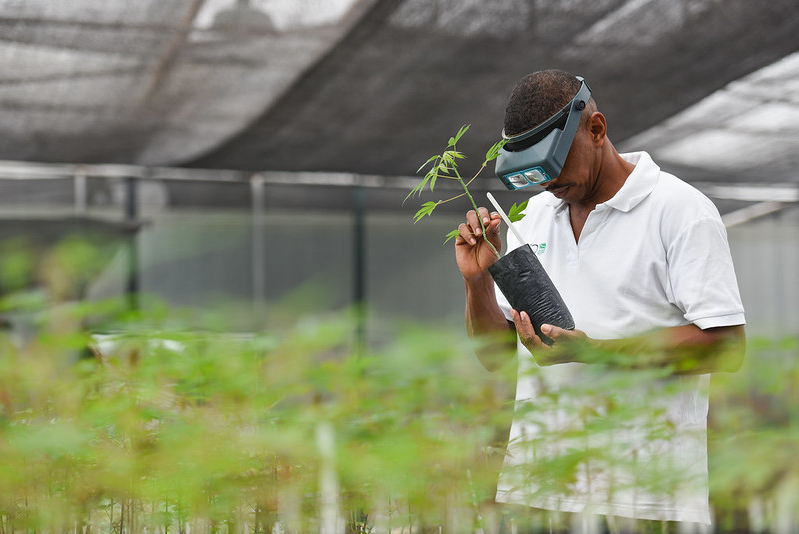 experts urge adoption of innovative farming tech for food security