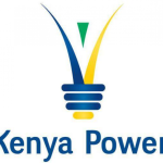 governments role to expand in kenya powers shareholding structure