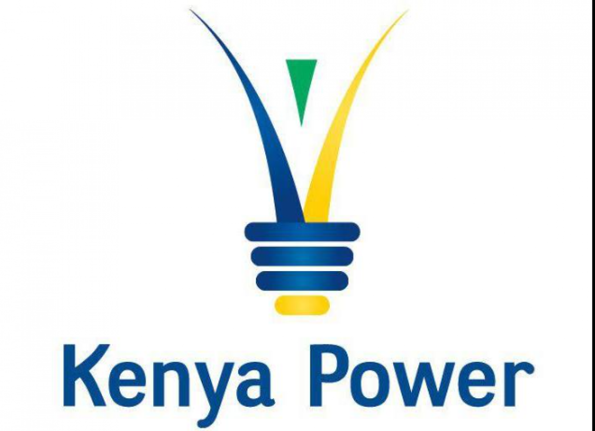 governments role to expand in kenya powers shareholding structure