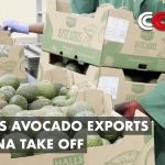 kenyan businesses tap into china market for growth