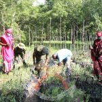kenyas environmental ministry launches countrywide forest protection operation