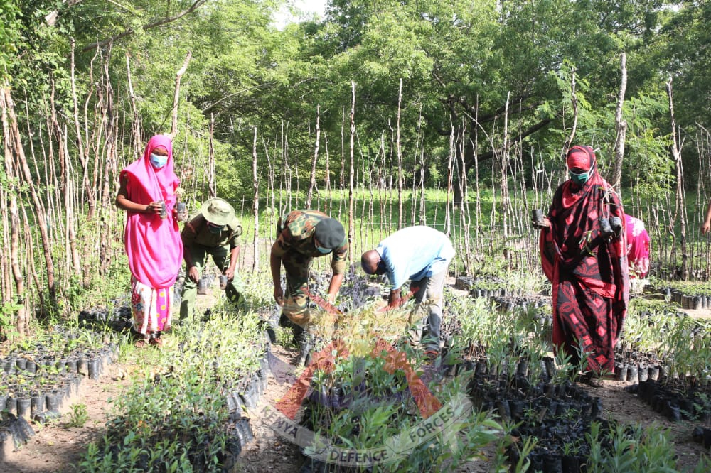kenyas environmental ministry launches countrywide forest protection operation