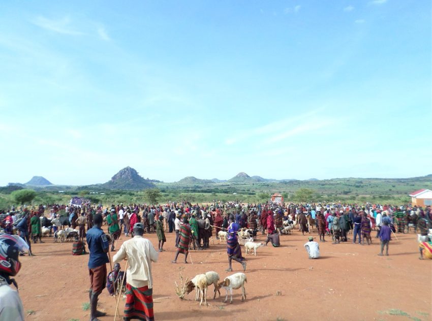 livestock markets reshaping karamojas landscape