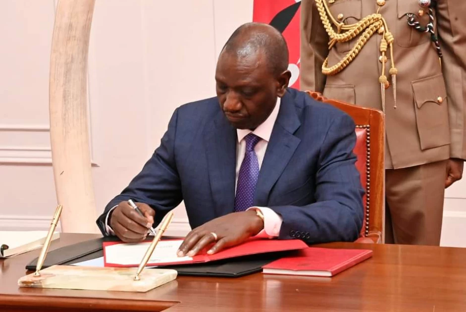 president ruto appoints new government officials