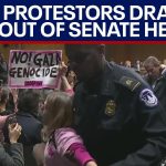protesters disrupt senate hearing on israels actions in gaza