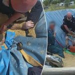 queensland police recognized for saving man trapped in grain silo