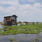 rising from the waters ntoroko residents rebuild lives post lake albert flooding
