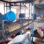 school dormitory fire in masaka four lives lost 11 injured