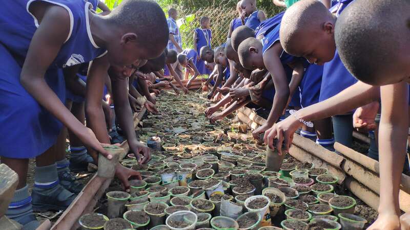 seeds of change mukono diocese embarks on a mission to plant 50000 fruit trees