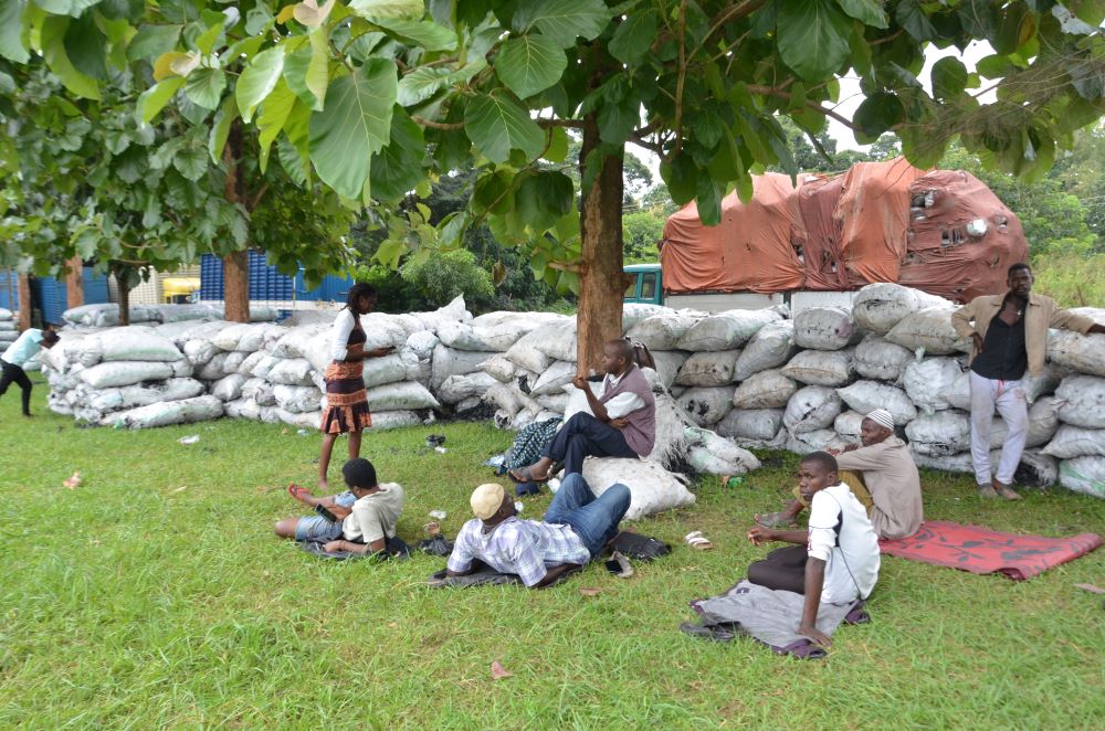 thousands of impounded charcoal bags remain unused in gulu