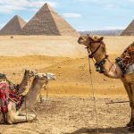 uganda emerges as top choice for egyptian tourists