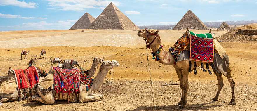 uganda emerges as top choice for egyptian tourists