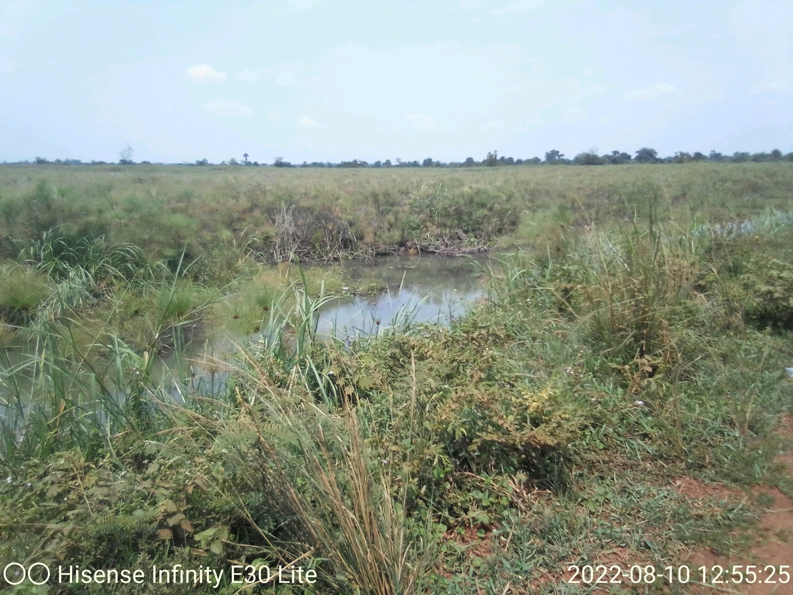 Exif JPEG 420
