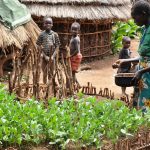 Karimojong woman watering her ktichen garden in Losiaket village in Iriiri Sub County in Napak district (photo by Steven Ariong)
