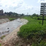 Pece Stream Investor Encroachment Threatens Gulu City Wetland