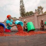 Uganda's Coffee Night