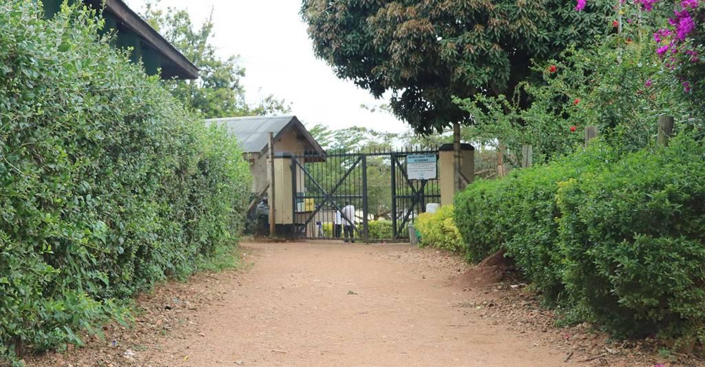 Wobulenzi School