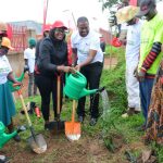 absa bank uganda joins green hoima campaign to plant 50000 indigenous trees