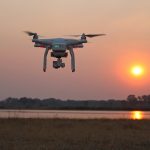 african airlines urged to combat wildlife trafficking