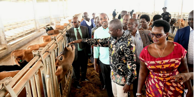 deputy speaker urges focus on organic farming instead of gmo bill