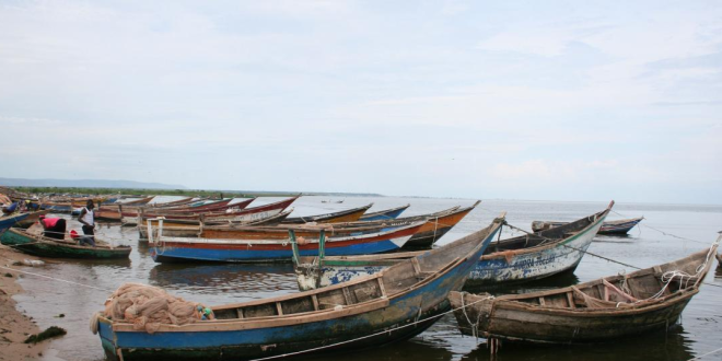 lake albert three fishermen feared dead in arrest evasion
