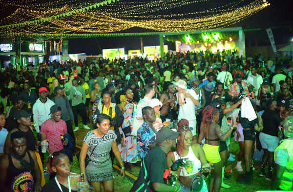 nyege nyege festival security 35 held for criminal offences