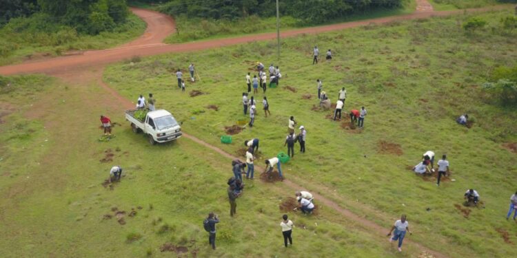uganda scouts association leaders implicated in kaazi camping site land scandal