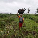 uk launches 12 million climate financing program to support ugandas green economy