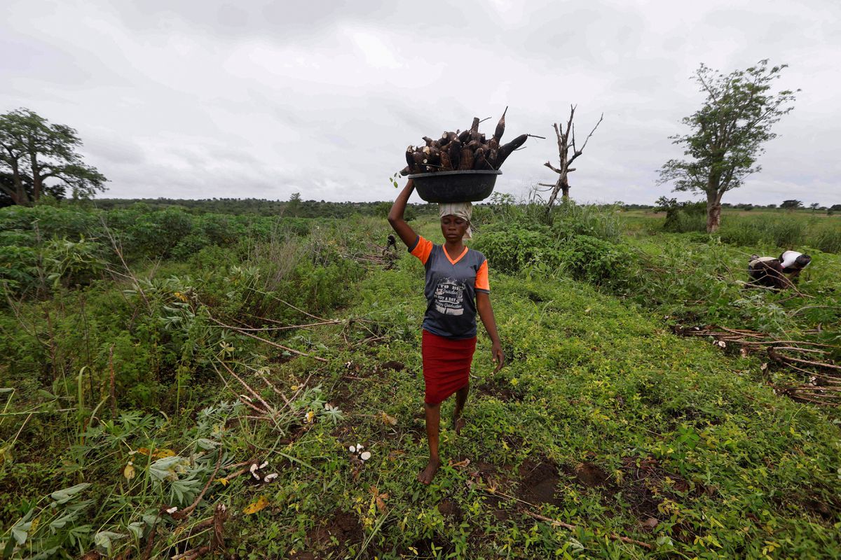 uk launches 12 million climate financing program to support ugandas green economy