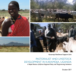 cattle rustlers in karamoja to benefit from sh19 billion undp scheme