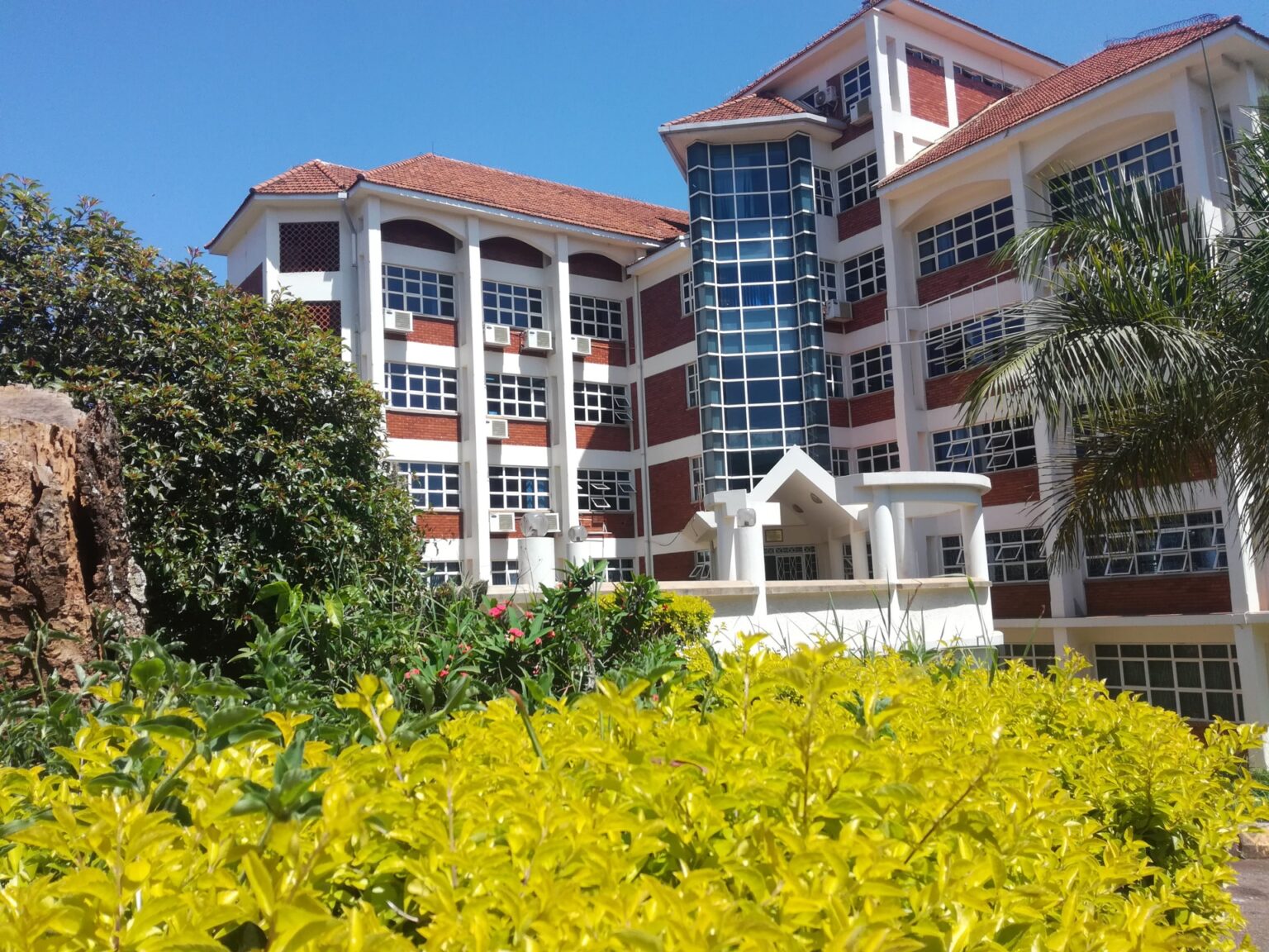 free cisco courses offered by makerere university dec 2023 mar 2024