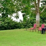 museveni commends kiyinda mityana diocese for socio economic development initiatives