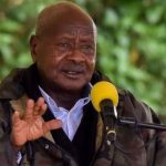 museveni proposes auction of defiant balaalo cattle for school construction in northern uganda