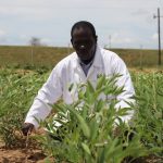 naro advances agricultural solutions for food security