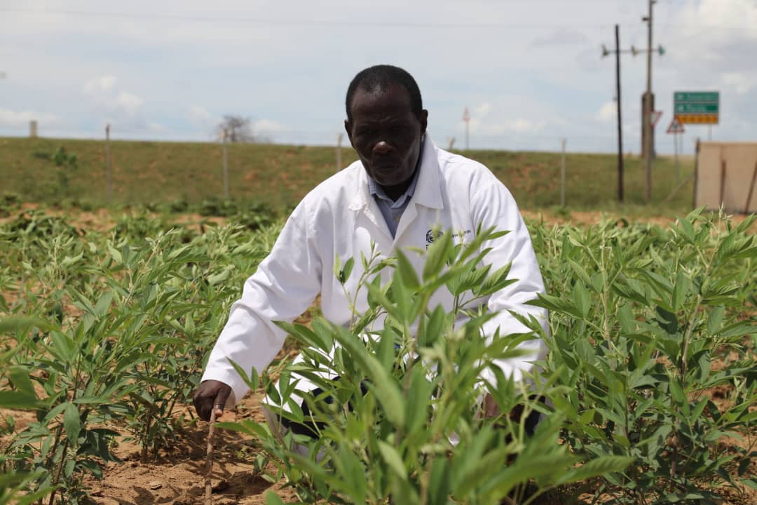 naro advances agricultural solutions for food security