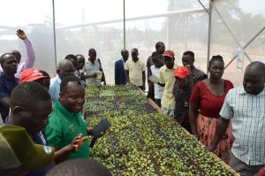 A group of farmers listening to explaination being made by Pascal Kahesi in Green at the site in Custom Corner Gulu City. Photo by Wilfred Okot.