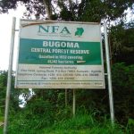 Bugoma Forest Boundary Report Still Undisclosed MP Calls for Transparency