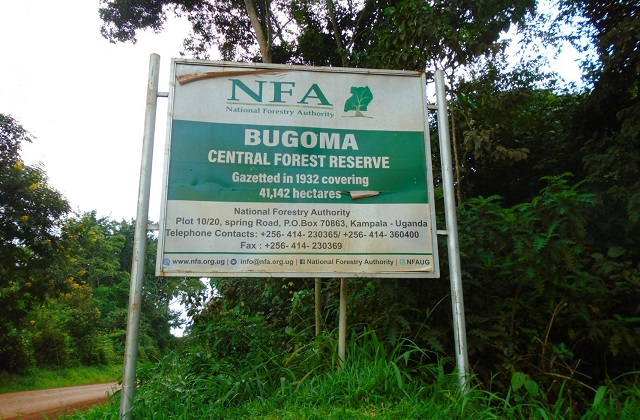 Bugoma Forest Boundary Report Still Undisclosed MP Calls for Transparency