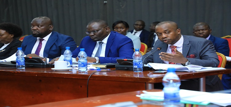 Hon. Ayume (R) presenting the Health Committee Report before the Budget Committee