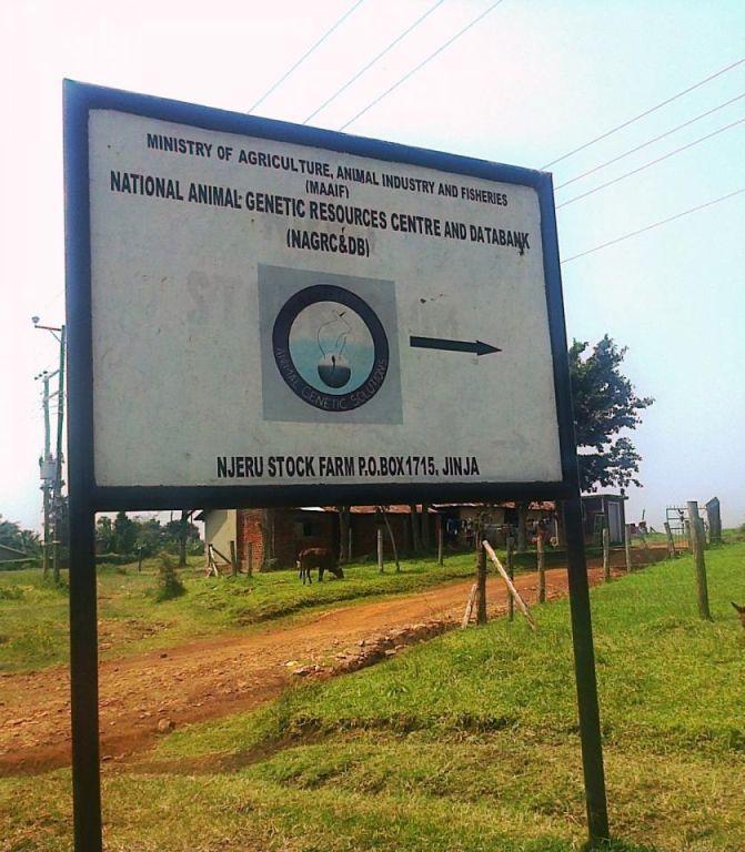National Animal Genetic Resources Centre and Data Bank (NAGRC & DB), including Dr. Charles Lagu
