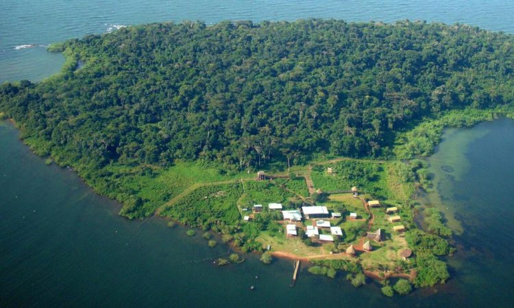 Philip Davis, the Prime Minister of the Bahamas, expressed admiration for Uganda's conservation initiatives during his visit to Ngamba Chimpanzee Island on Lake Victoria.