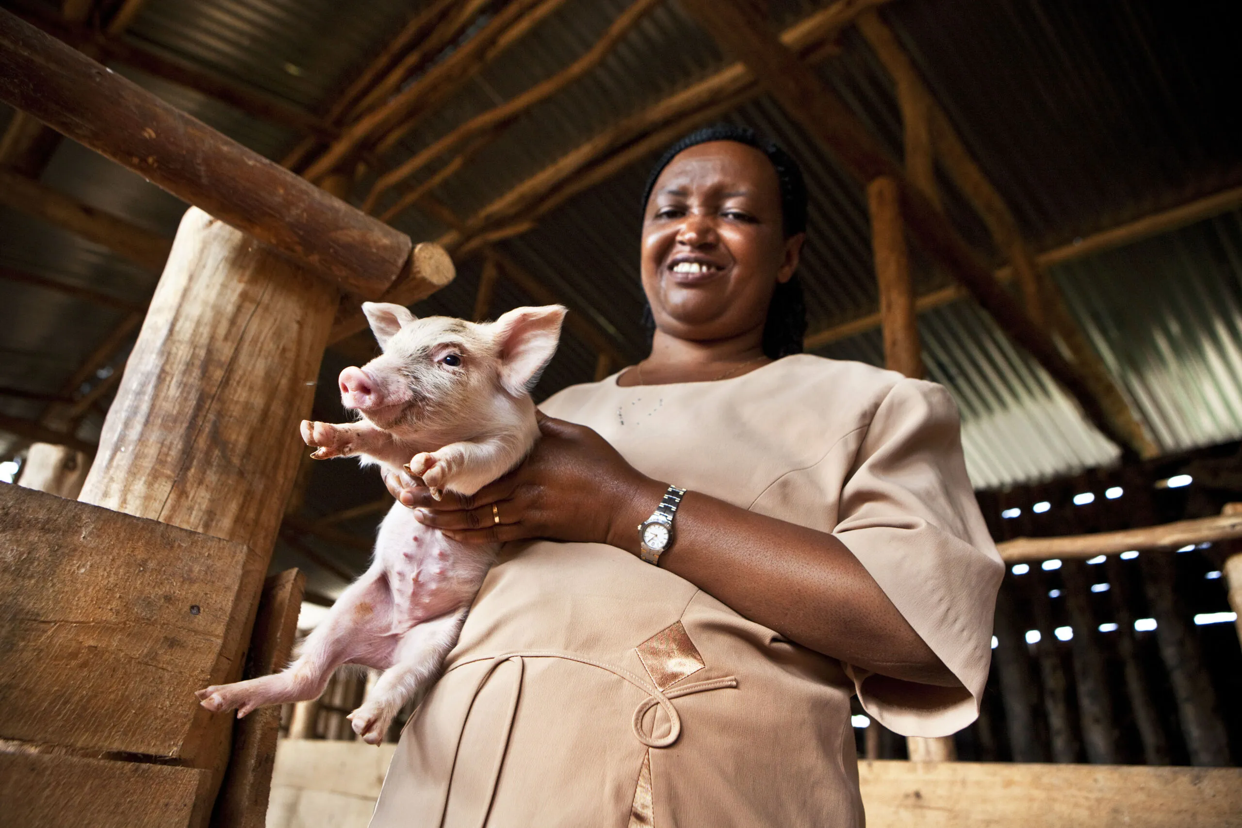 Pig Genetic Center