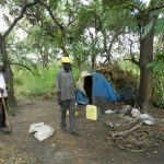 agago district loses 20000 shea trees in five months despite conservation efforts