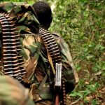 amnesty granted to adf combatants and defectors by uganda